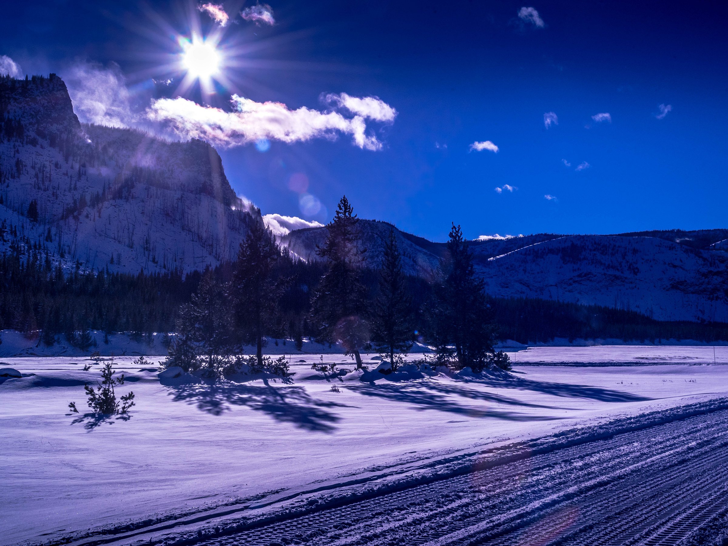 SEE YELLOWSTONE TOURS (West Yellowstone) 2023 Qué saber antes de ir