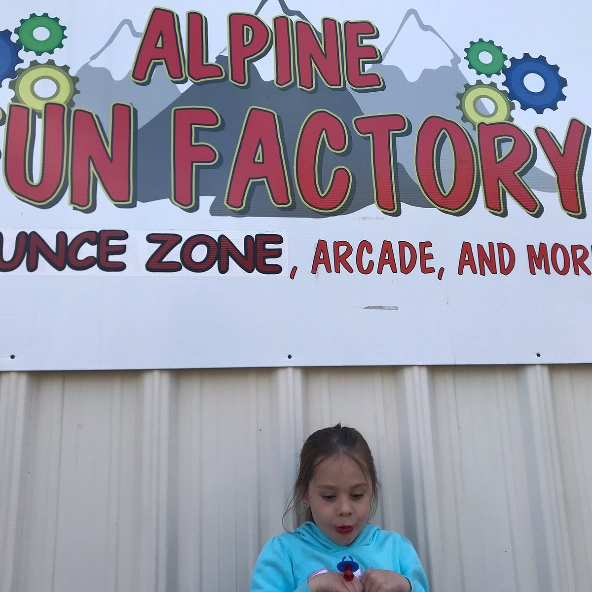 The Family Fun Factory –