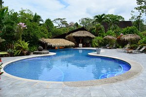 Suizo Loco Lodge Hotel & Resort in Cahuita, image may contain: Hotel, Resort, Villa, Pool