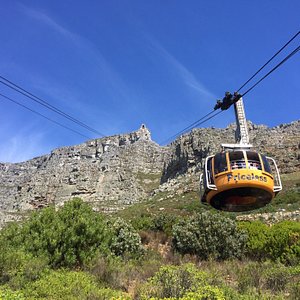 tripadvisor south africa tours