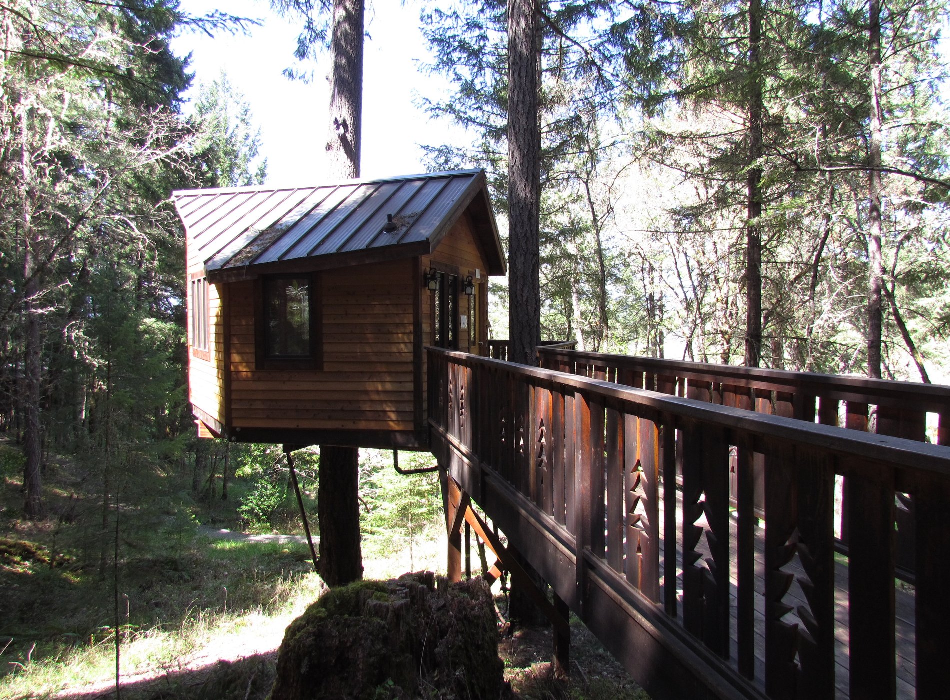 Vertical Horizons Treehouse Paradise by null