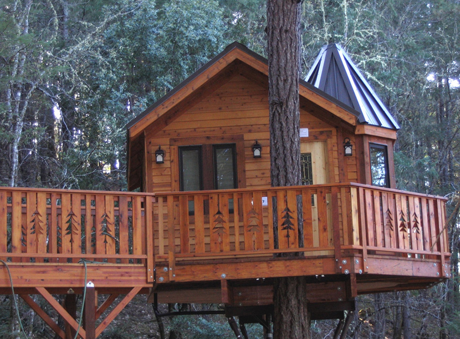 Vertical Horizons Treehouse Paradise by null