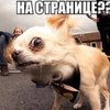 Юрий Е
