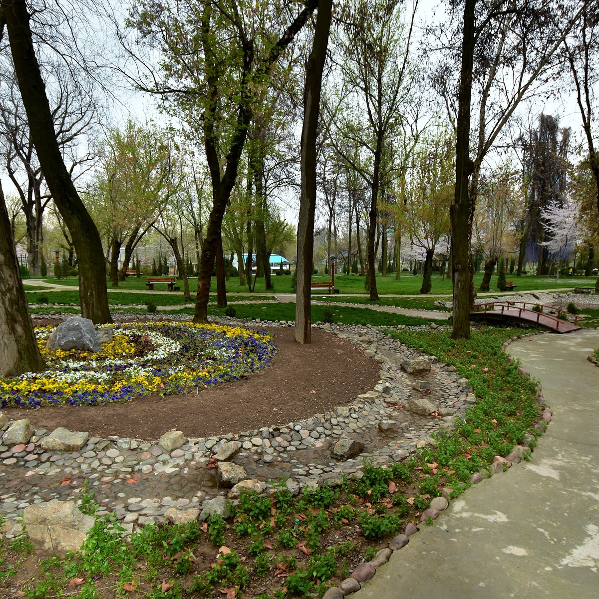 Ботанический сад ташкент