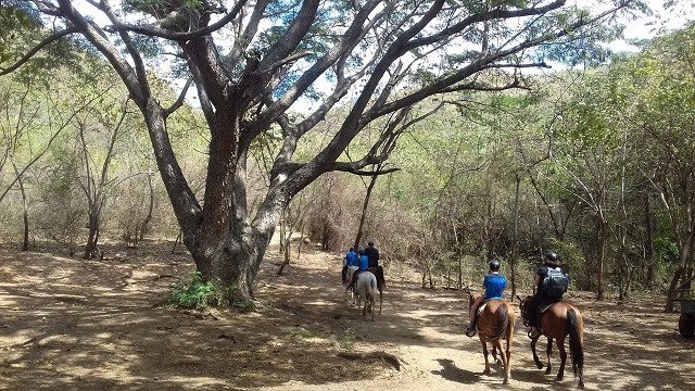 Horseback_Riding_Tours-Trinidad_Trinidad