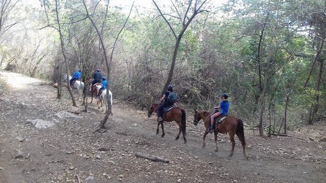Horseback_Riding_Tours-Trinidad_Trinidad