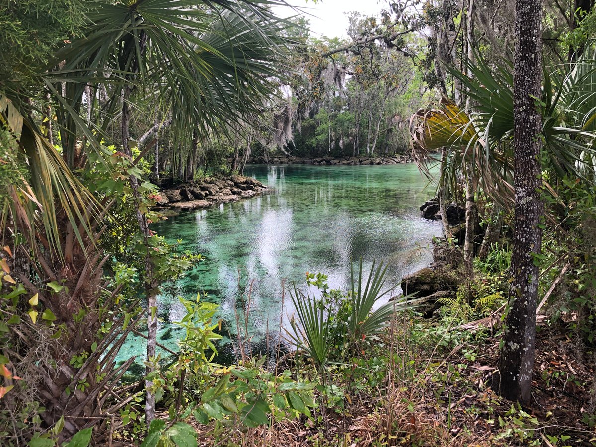 Three Sisters Springs, Критсал-Ривер: лучшие советы перед посещением -  Tripadvisor