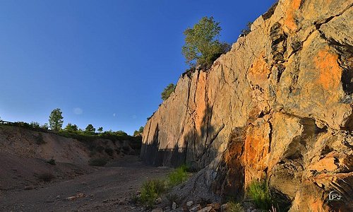 Bosque Fósil de Verdeña. La pared donde estaba asentado mide 150 metros de largo y 18 de alto y fue descubierta accidentalmente durante una excavación de carbón a cielo abierto que se realizaba en la zona años atrás.