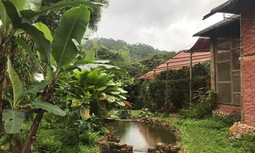 Beautiful garden to explore