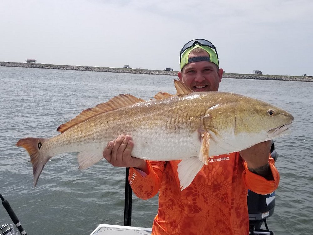 Florida Fishing Products - Big redfish on the Osprey CE 3000 ✓ Looks like  the 22 lbs of drag was put to work on this big red!, #bullred #fishbetter  #fishflorida #floridafishingproducts, 📸: @jwhite850, ⁠