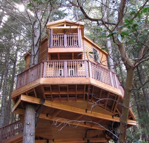 Vertical Horizons Treehouse Paradise image