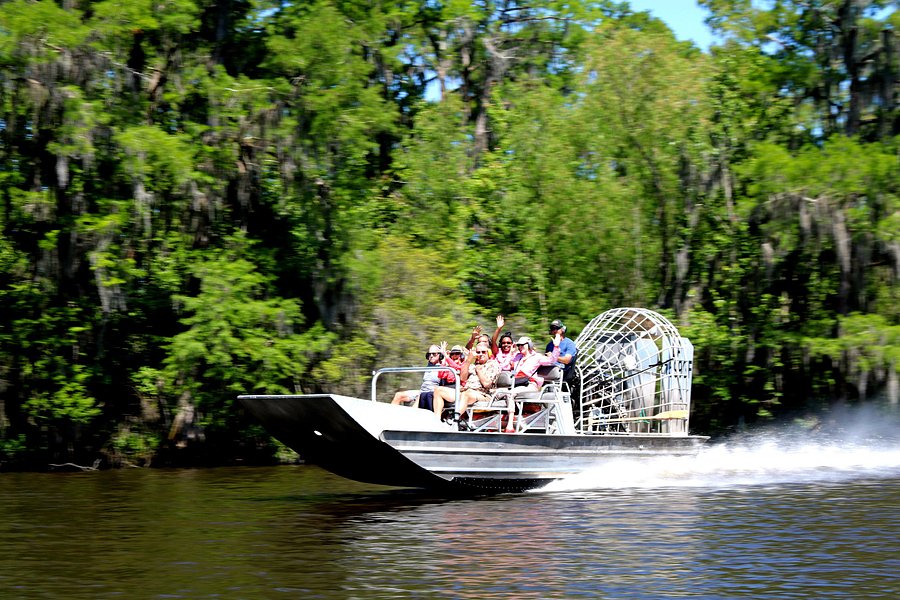 best swamp tours new orleans tripadvisor