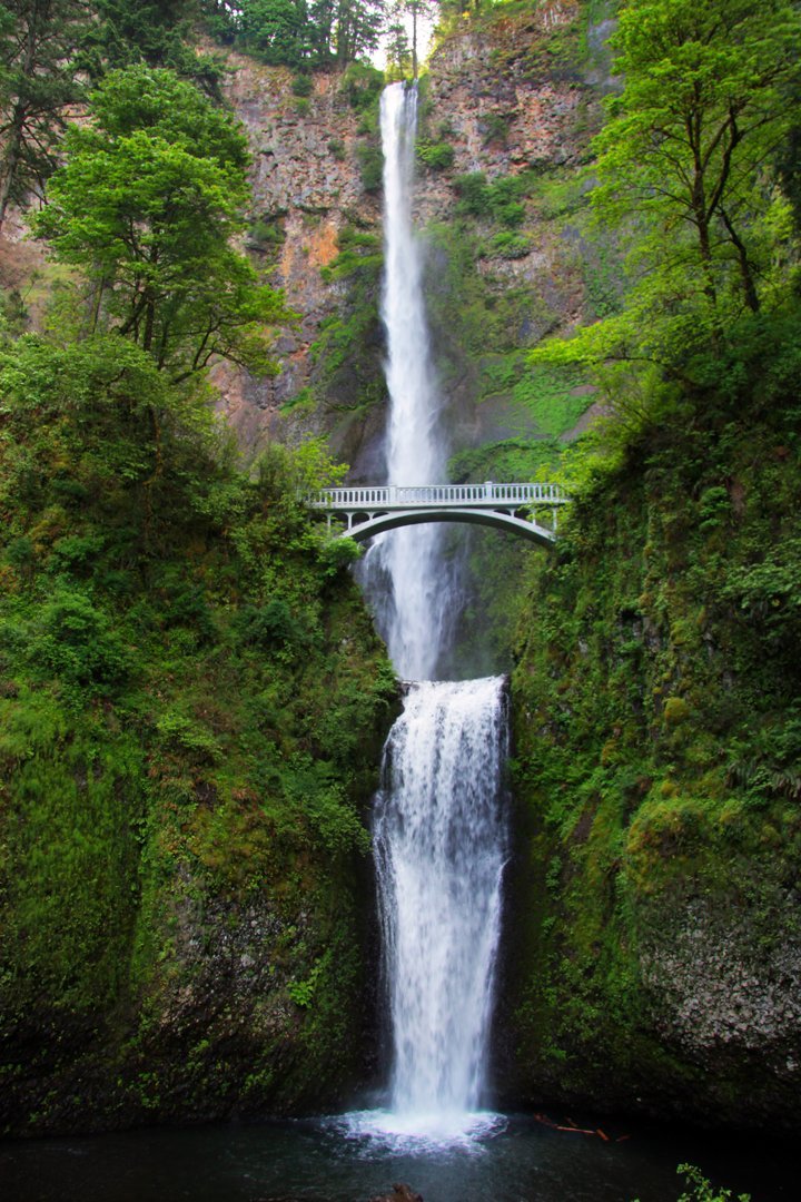 MULTNOMAH FALLS LODGE RESTAURANT, Bridal Veil - Menu, Prices ...