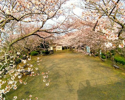 松浦市5 大公园与自然景点 Tripadvisor 松浦市5 大公园与自然景点 Tripadvisor