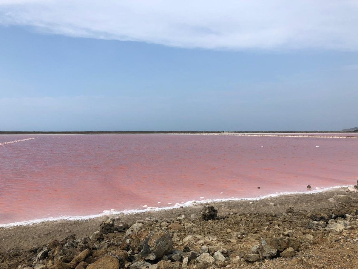 SALINAS DE GALERAZAMBA - Qué SABER antes de ir (2025)