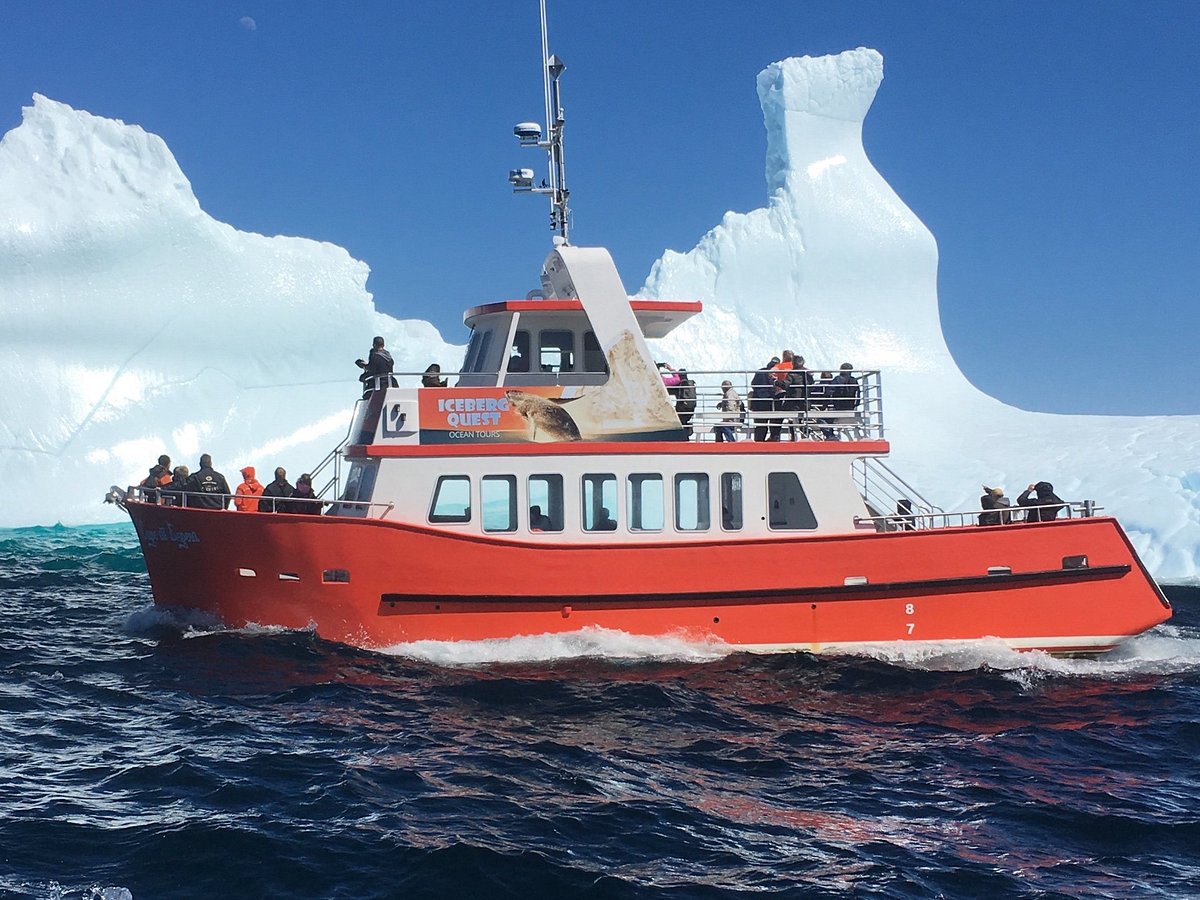 iceberg tours st john's newfoundland