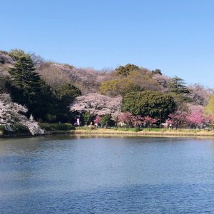 Top 10 Điểm đến ở Yokohama - Tripadvisor