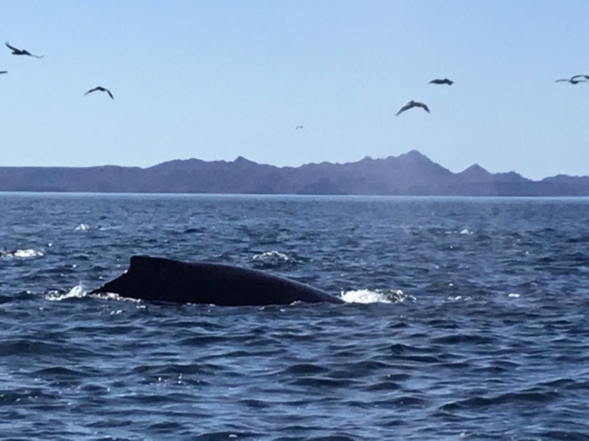 Baja Peninsula Adventure (Loreto) - All You Need to Know BEFORE You Go