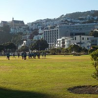 playing field