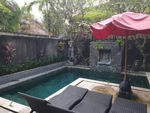 Pool & Beach