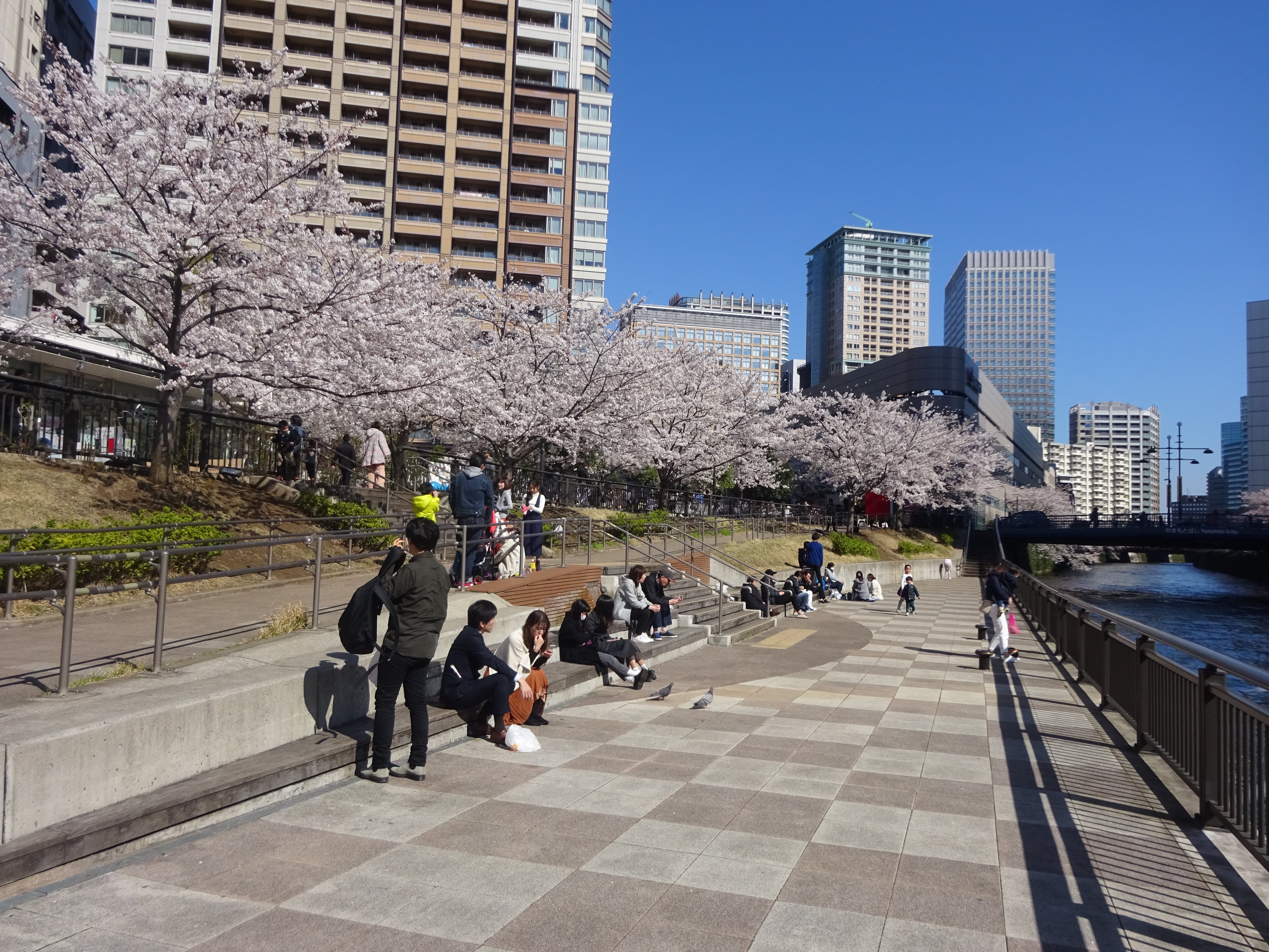 Makuhari Kaihin Park (2025) - All You Need to Know BEFORE