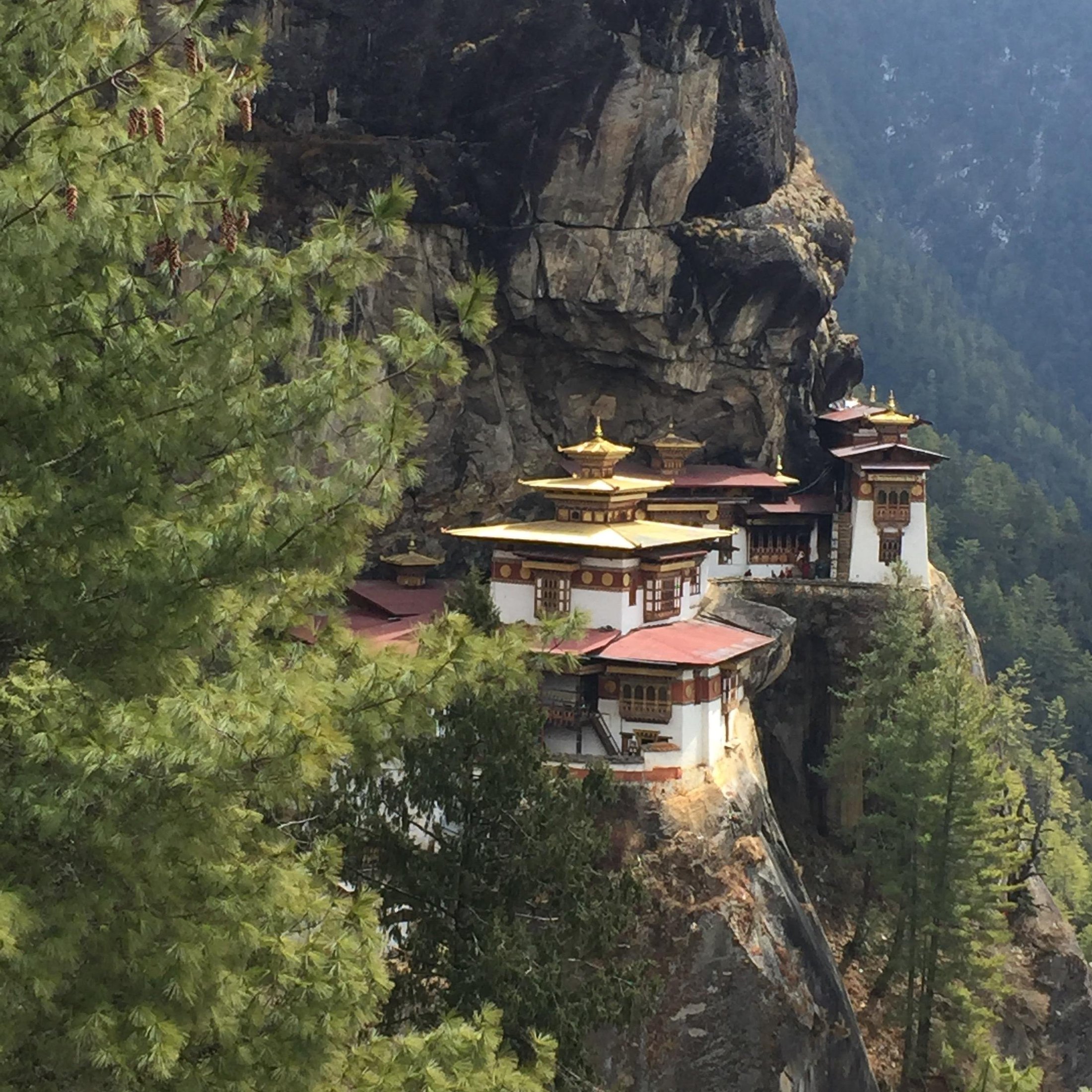 Bhutan Monyul Travel (Tour manager at Bhutan, Hotel booking and Transportation ) - 팀푸 - Bhutan Monyul Travel (Tour manager at... 