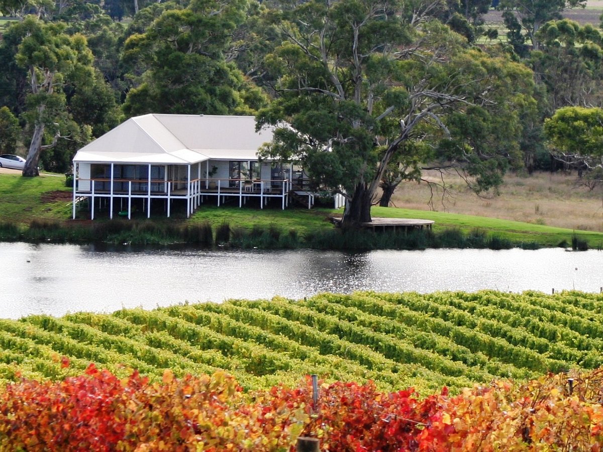 wine tours tasmania east coast