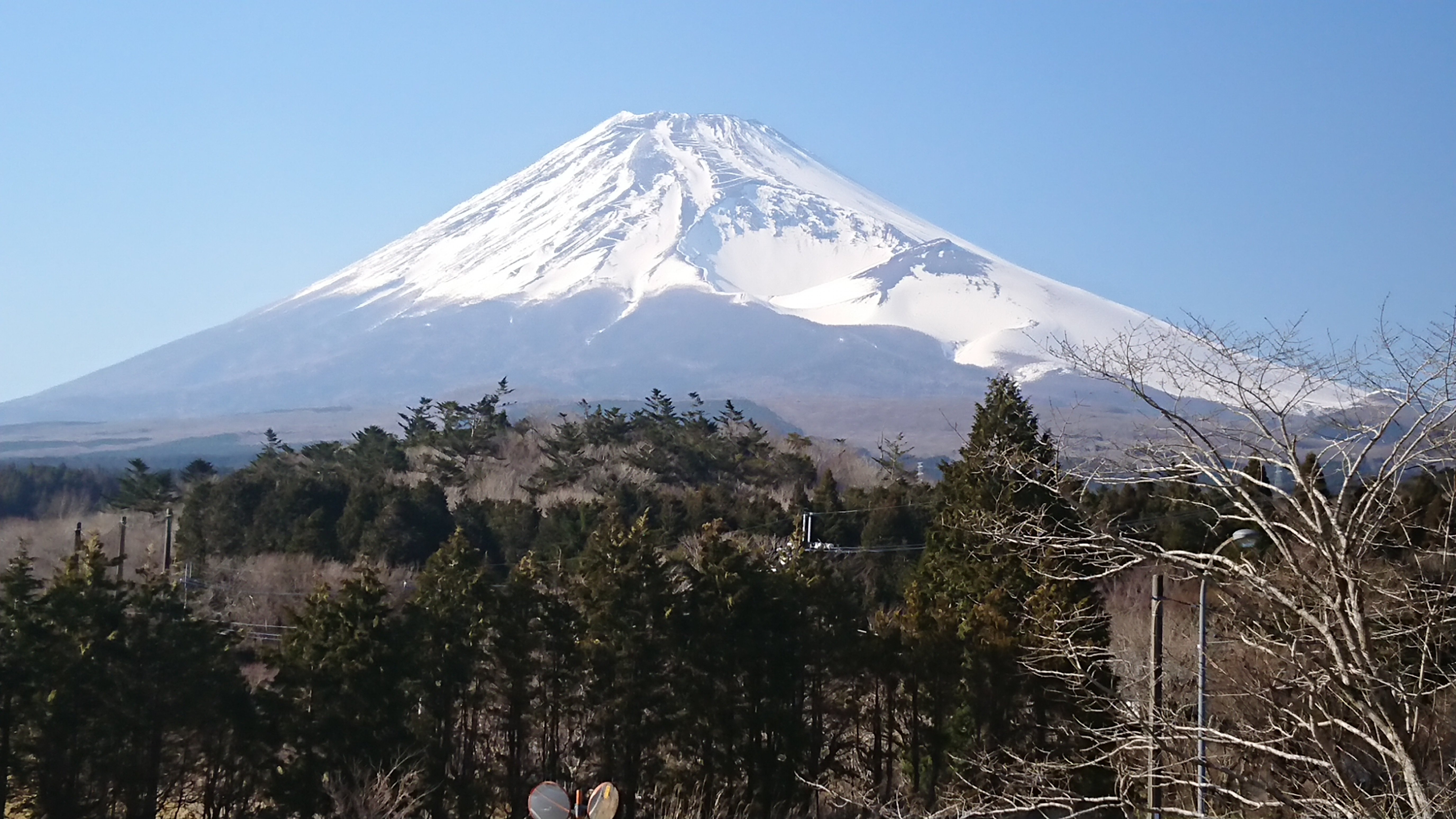 2025年 十里木高原 - 出発前に知っておくべきことすべて - トリップアドバイザー