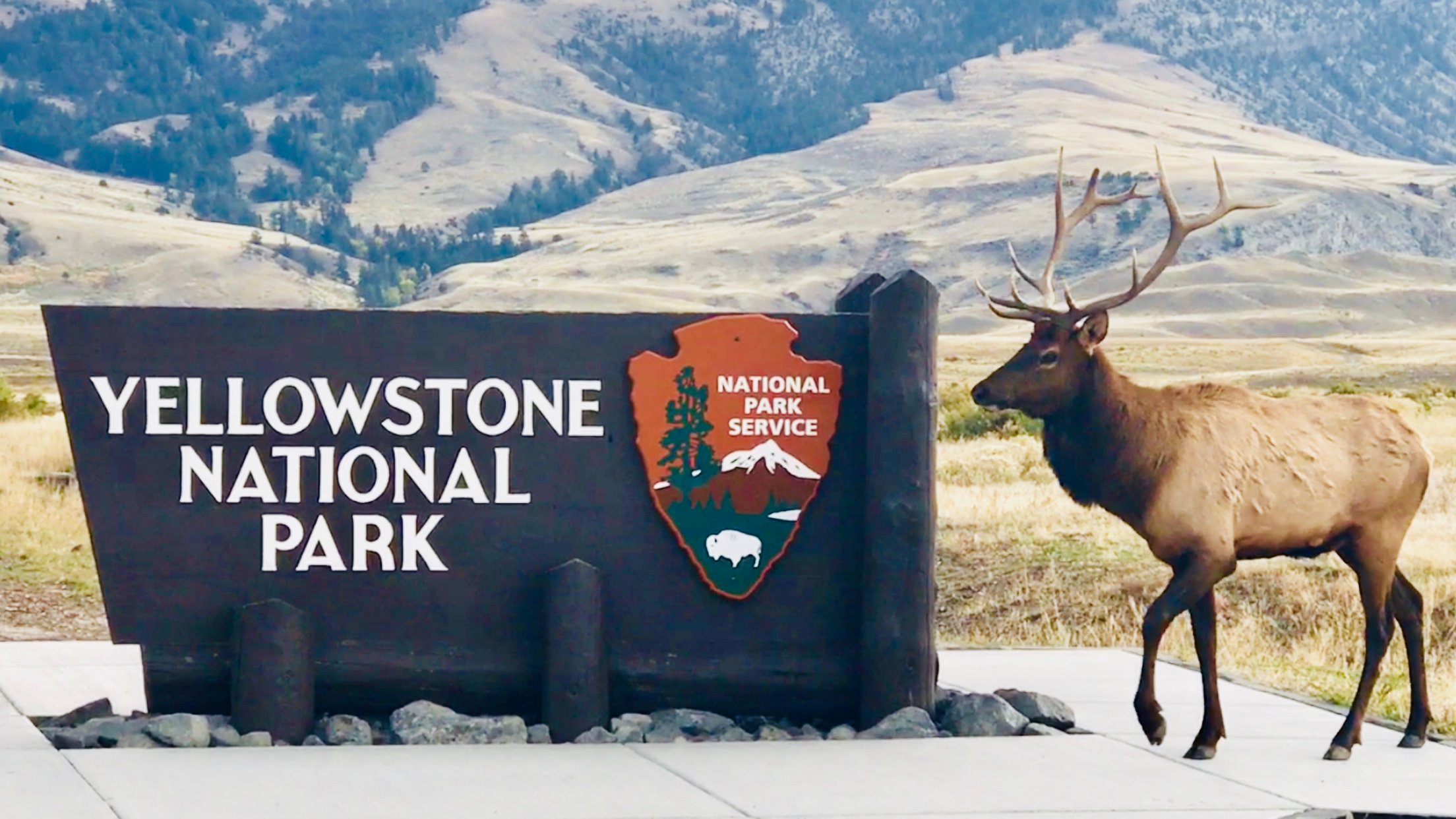 PARK HOTEL YELLOWSTONE Prezzi E Recensioni 2024   One Block Walk To Yellowstone 