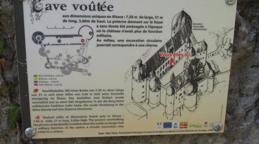 Château de Morimont (ruines) - Cave voûtée (panneau informations)