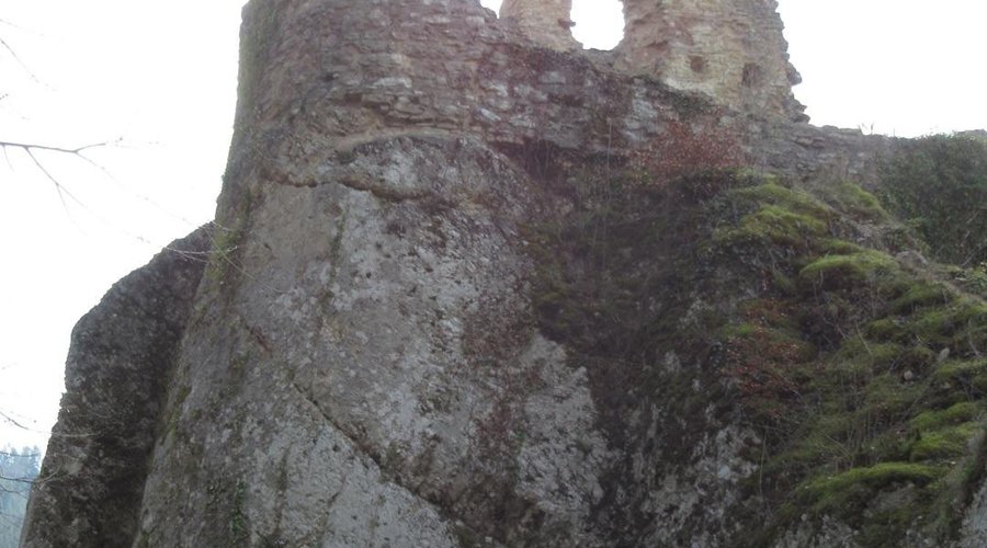 Château de Morimont (ruines) - une des nombreuses tours
