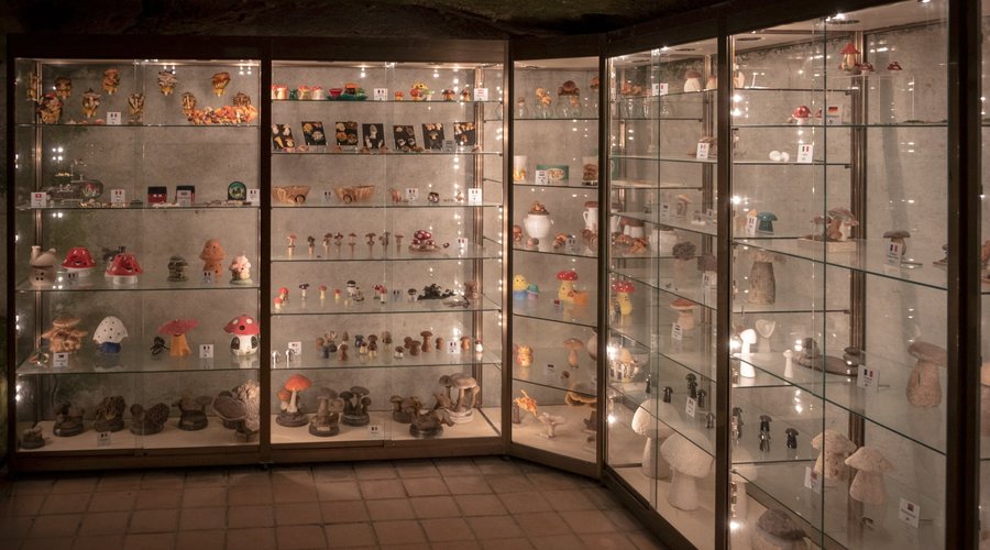 Musée du Champignon
