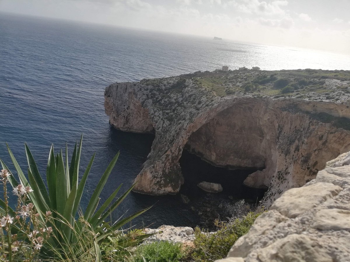 my island tours malta