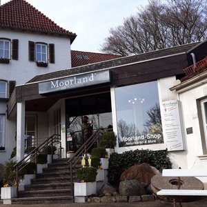 Moorland hotel wejście/ Entrance