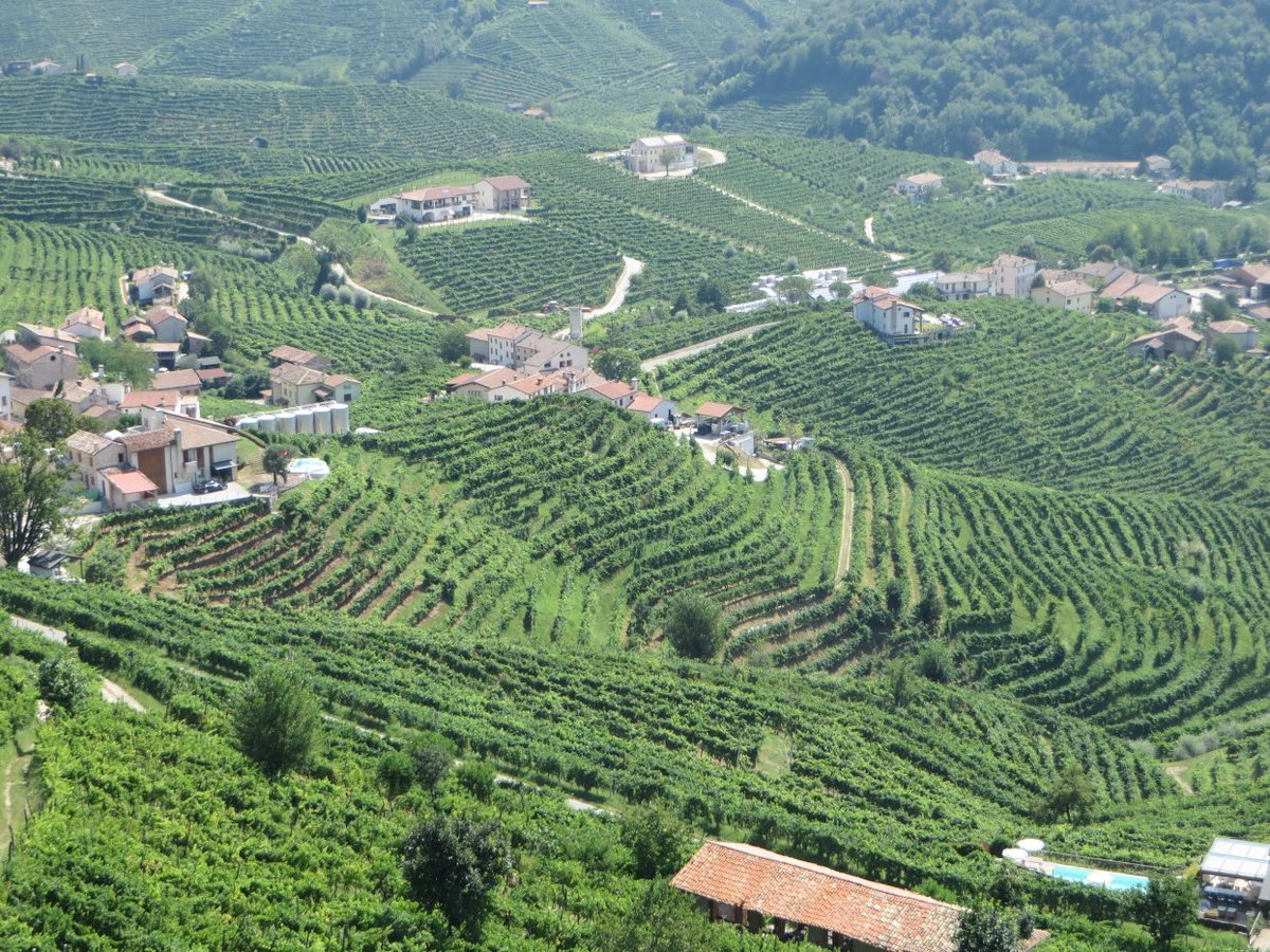 Walking the Prosecco Hills, Trekking the Prosecco Hills, Italy