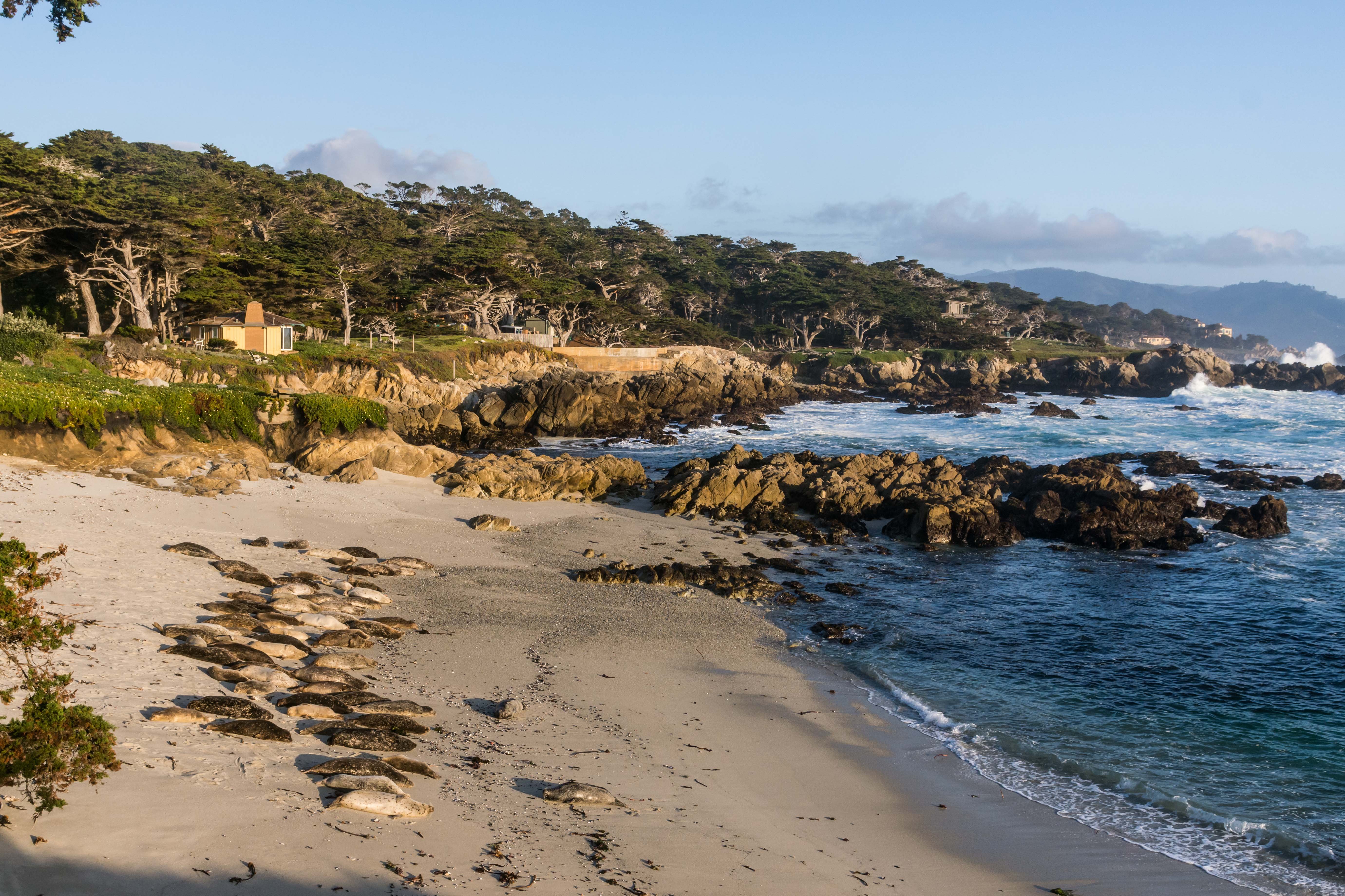 THE BEST Pebble Beach Beaches (Updated 2023) - Tripadvisor