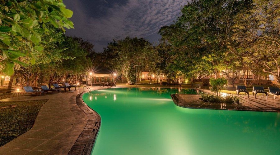 Swimming pool in evening; Perfect for a dip after a safari