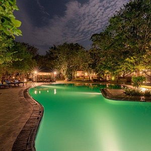 Swimming pool in evening; Perfect for a dip after a safari
