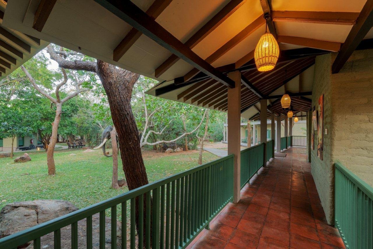 Elephant Reach Hotel by null