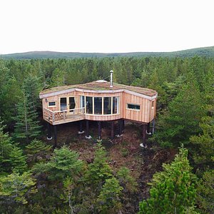 Your treehouse, nestled within the forest and looking out to the beaches, Atlantic Ocean and hills of Harris.