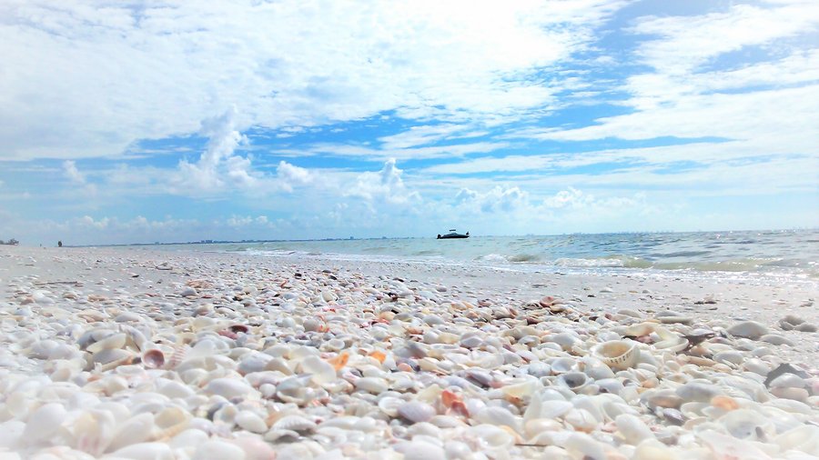 Sanibel Siesta on the Beach (Île de Sanibel, Floride) - tarifs 2021 mis 