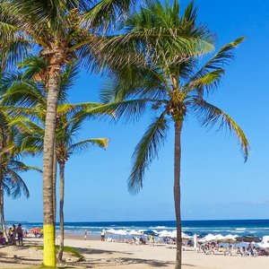 Isla desfalca Flamengo por sintomas de gripe e posta foto em balada