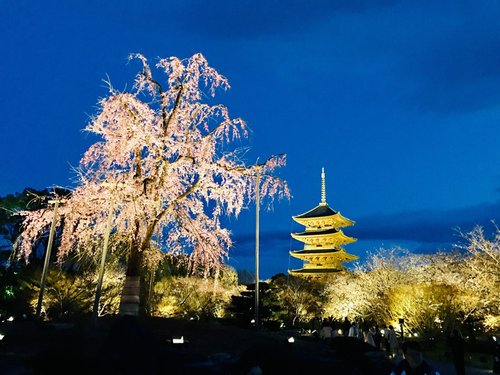 京都南部 京都 観光名所 人気スポット