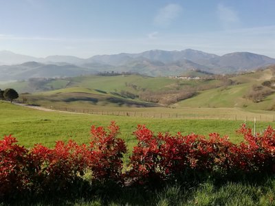 The fortresses to visit in Montefeltro - Agriturismo Le Capannacce Urbania