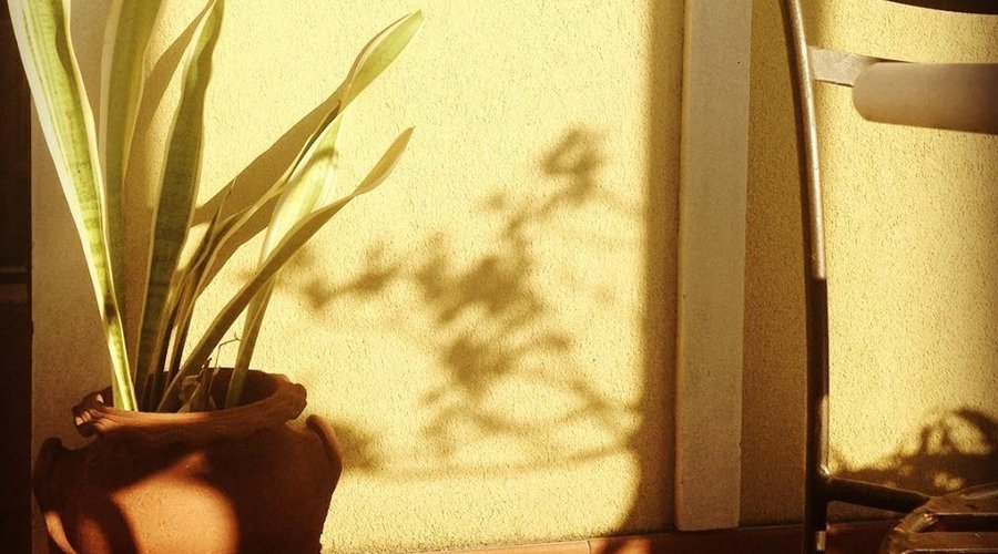 #HvC philosophy, entra nel nostro mondo 🌎 per vivere una esperienza che ti faccia sentire a casa, una #casa calda e lussuosa #hotels