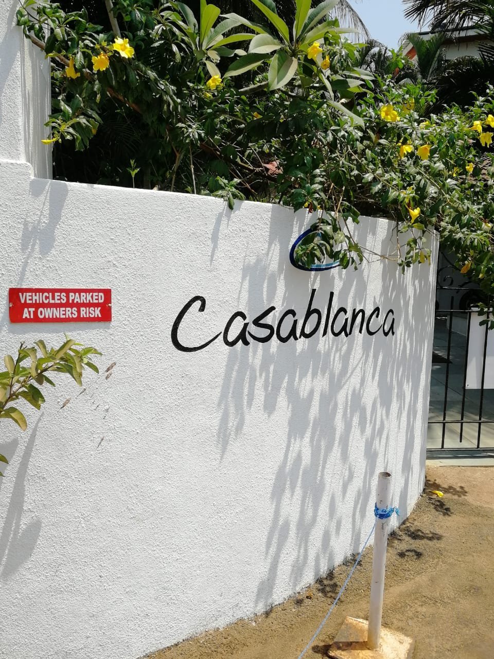 CASABLANCA (Гоа/Кандолим, Индия) - отзывы, фото и сравнение цен -  Tripadvisor