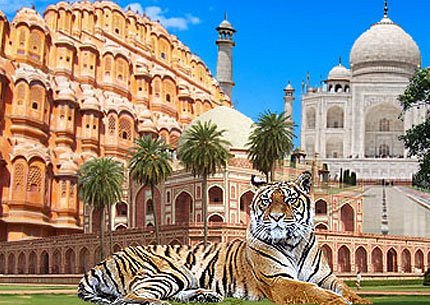 Druppelen onstabiel gastheer All India Travel Agency (New Delhi) - All You Need to Know BEFORE You Go Druppelen onstabiel gastheer All India Travel Agency (New Delhi) - All You Need to Know BEFORE You Go