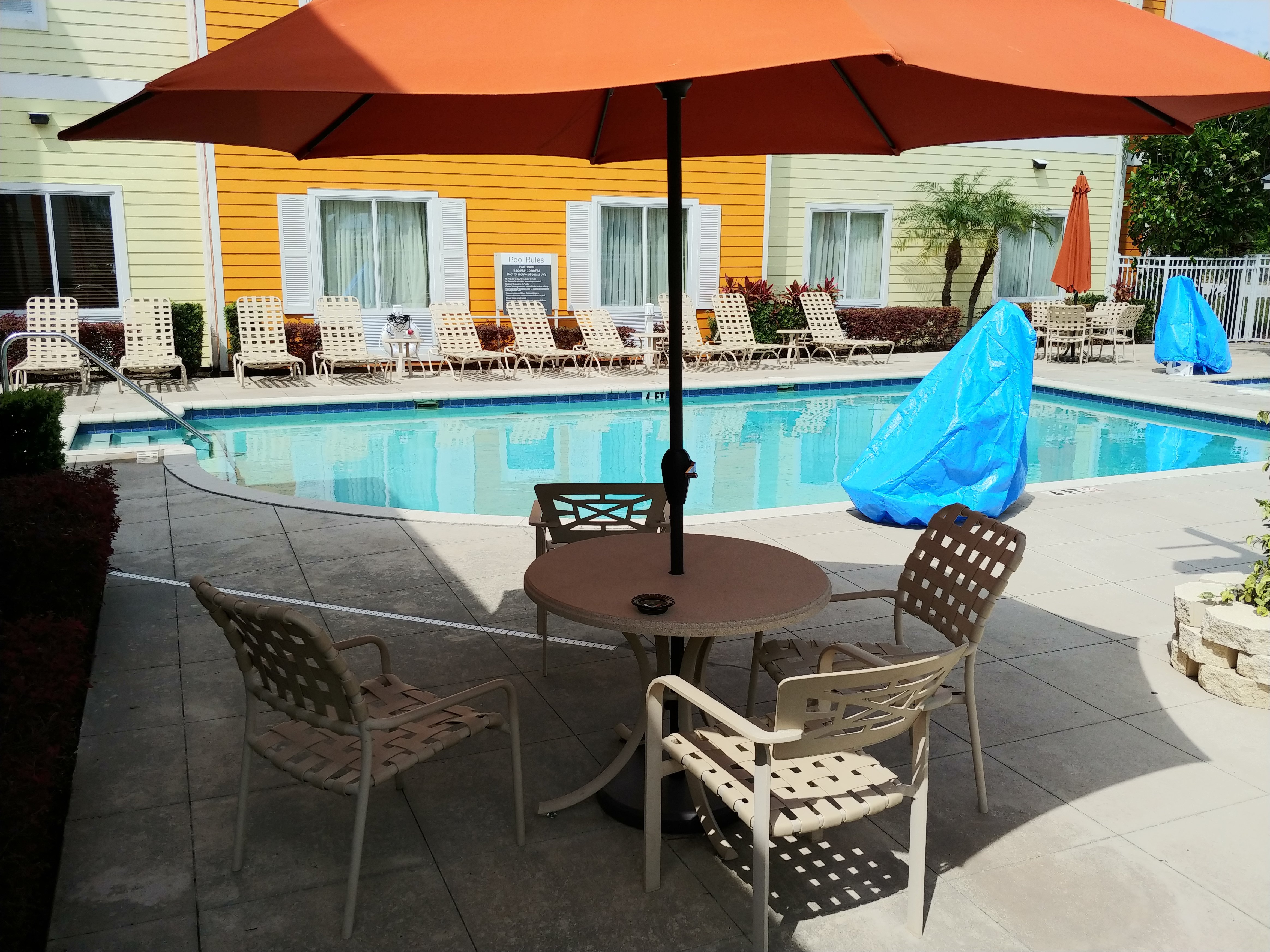 Hilton Garden Inn Lakeland Pool Pictures Reviews Tripadvisor   Pool 