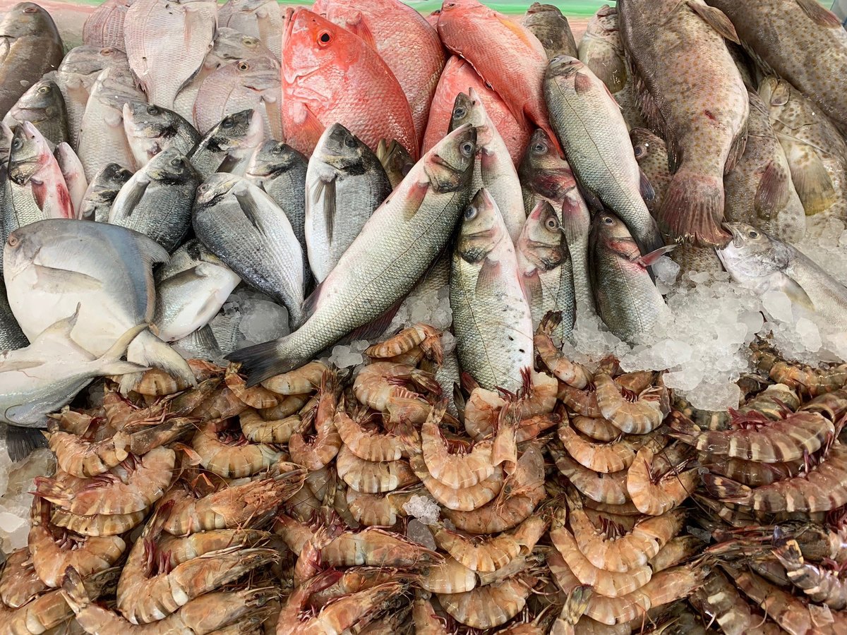 Jumeirah Fish Market, Дубай: лучшие советы перед посещением - Tripadvisor