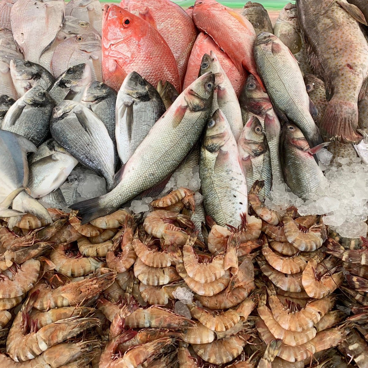 Jumeirah Fish Market, Дубай: лучшие советы перед посещением - Tripadvisor